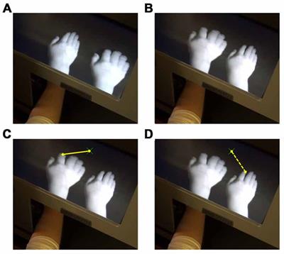 The Effect of Visual, Spatial and Temporal Manipulations on Embodiment and Action